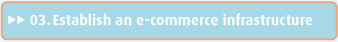 Establish an e-commerce infrastructure