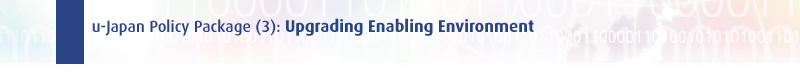 Policy Package(3): Upgrading Enabling Environment