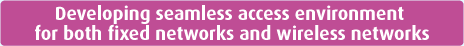 Developing seamless access environment for both fixed networks and wireless networks