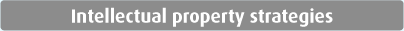 Intellectual property strategies
