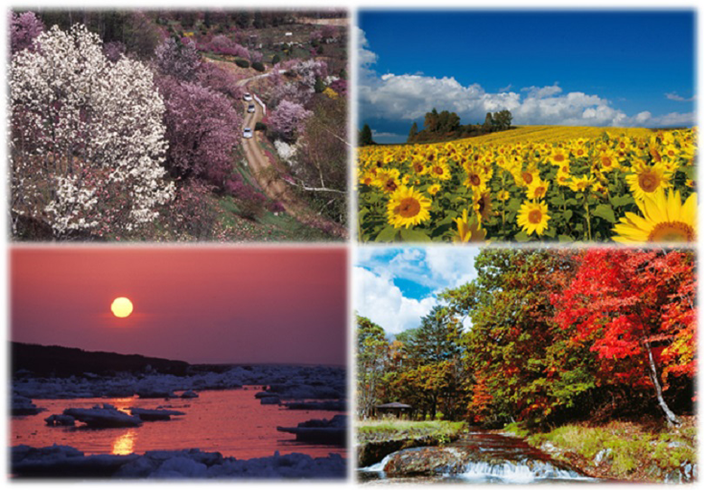 北海道北見市