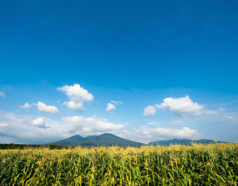 北海道中富良野町