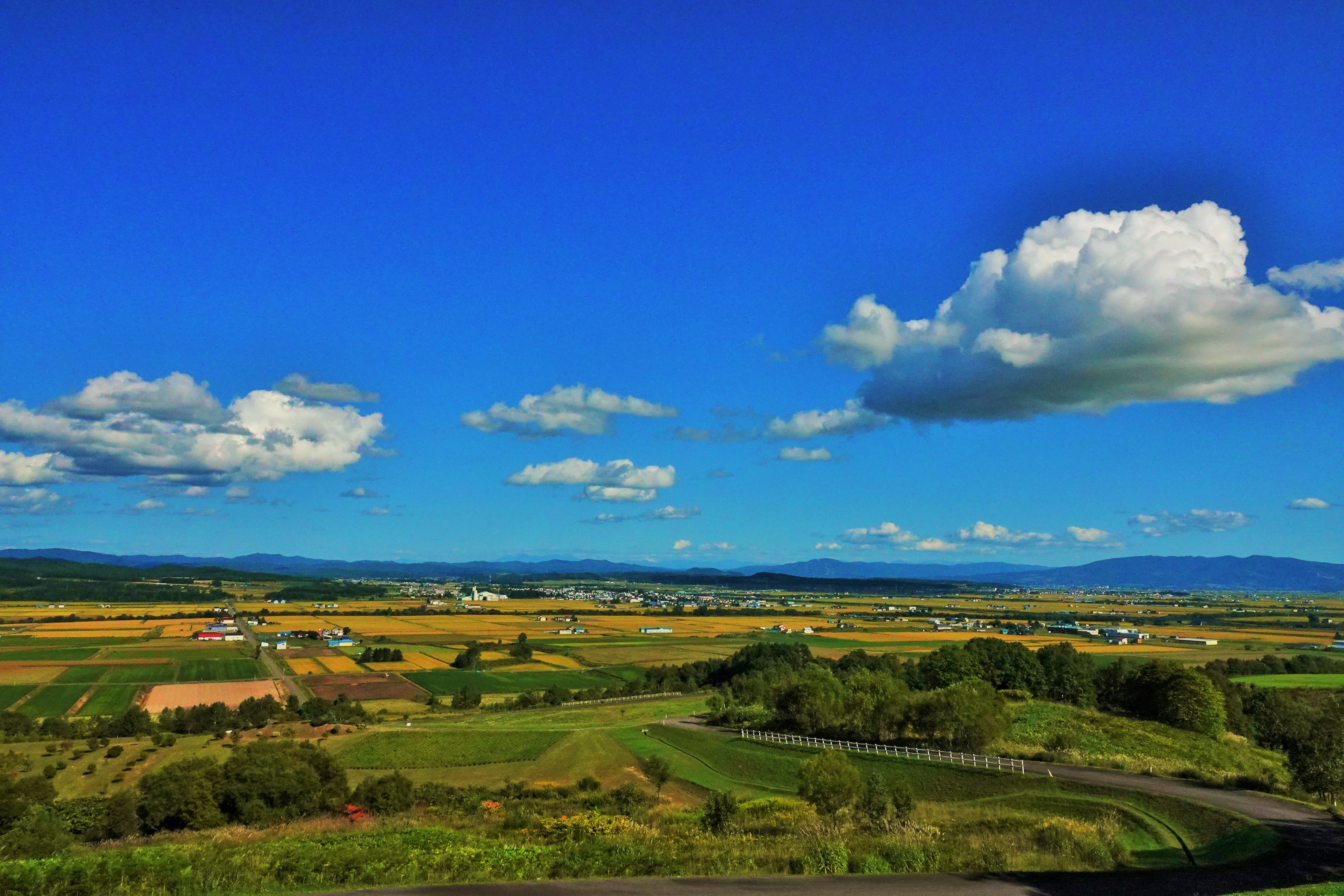 北海道沼田町