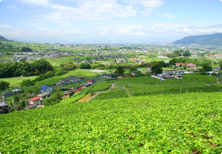 山梨県甲州市