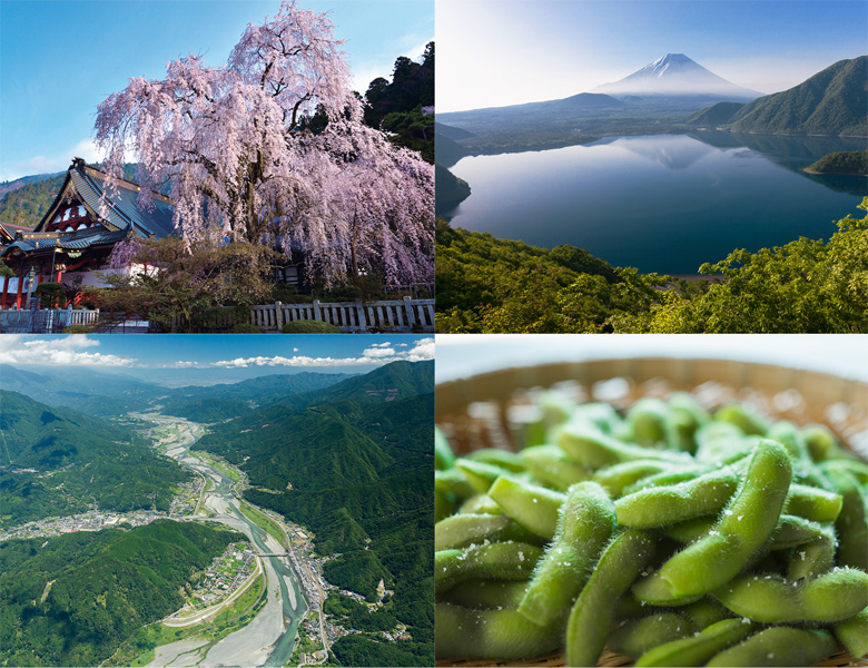 山梨県身延町