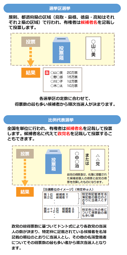 選挙 人 と は わかり やすく