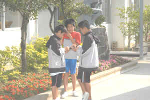 ���鑺���Ôe���w�Z�d�g�����̎ʐ^