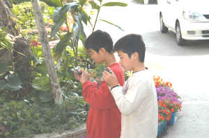 ���鑺���Ôe���w�Z�d�g�����̎ʐ^