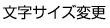 文字サイズ変更