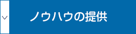 ノウハウの提供